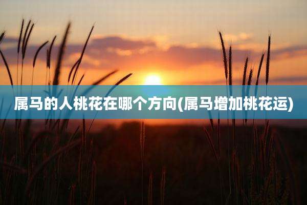 属马的人桃花在哪个方向(属马增加桃花运)