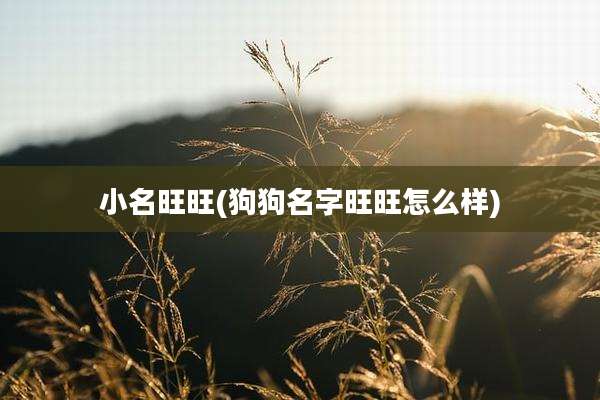小名旺旺(狗狗名字旺旺怎么样)