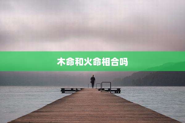 木命和火命相合吗