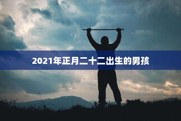 2021年正月二十二出生的男孩