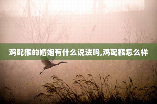 鸡配猴的婚姻有什么说法吗,鸡配猴怎么样