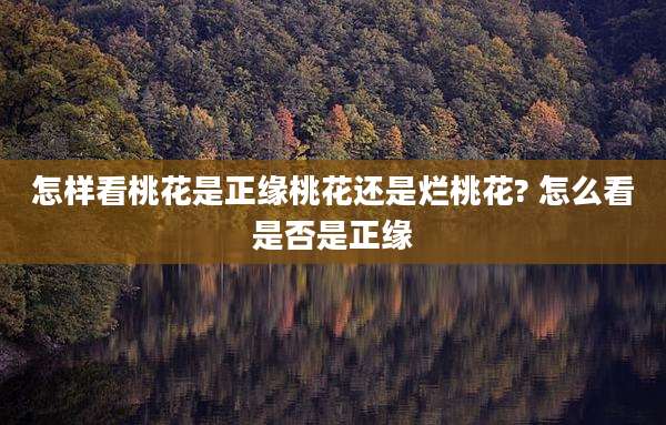 怎样看桃花是正缘桃花还是烂桃花? 怎么看是否是正缘