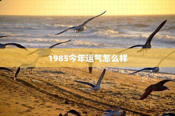 1985今年运气怎么样