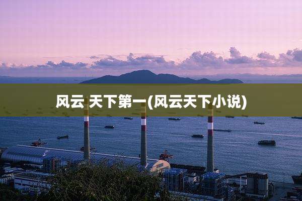 风云 天下第一(风云天下小说)