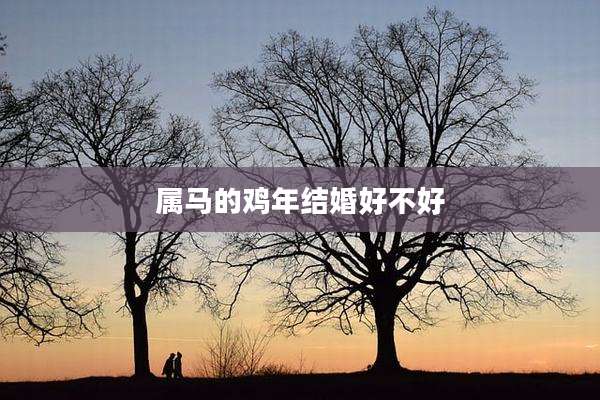 属马的鸡年结婚好不好