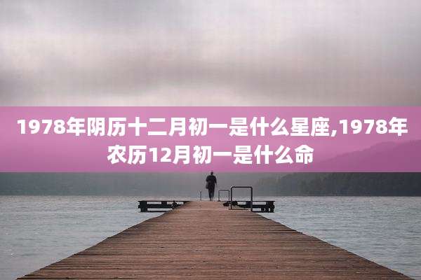1978年阴历十二月初一是什么星座,1978年农历12月初一是什么命