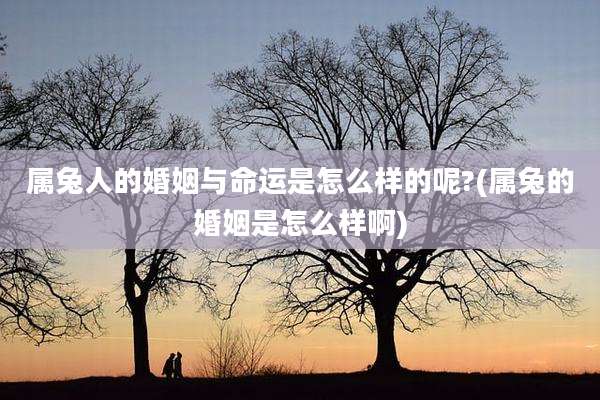 属兔人的婚姻与命运是怎么样的呢?(属兔的婚姻是怎么样啊)