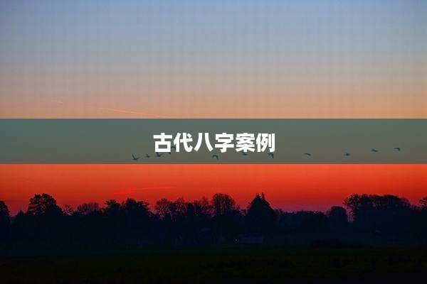 古代八字案例