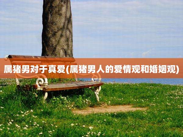 属猪男对于真爱(属猪男人的爱情观和婚姻观)