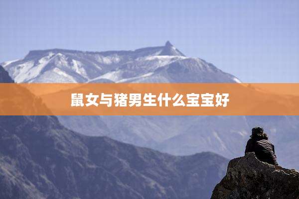鼠女与猪男生什么宝宝好