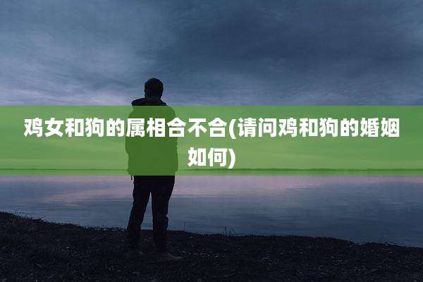 鸡女和狗的属相合不合(请问鸡和狗的婚姻如何)