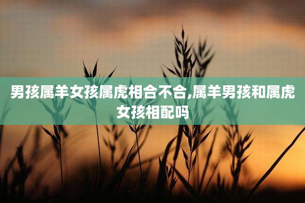 男孩属羊女孩属虎相合不合,属羊男孩和属虎女孩相配吗