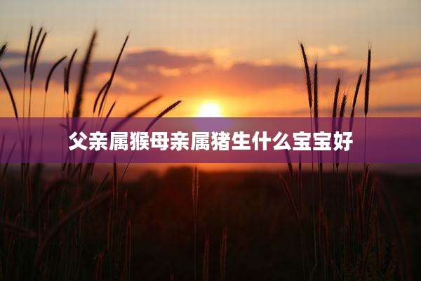 父亲属猴母亲属猪生什么宝宝好
