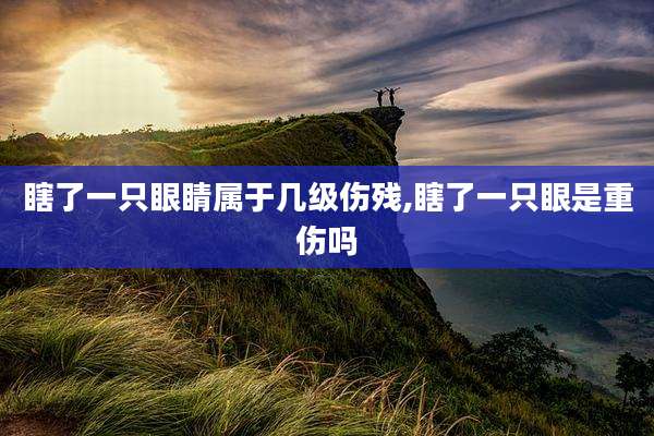 瞎了一只眼睛属于几级伤残,瞎了一只眼是重伤吗