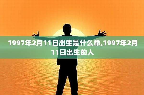 1997年2月11日出生是什么命,1997年2月11日出生的人