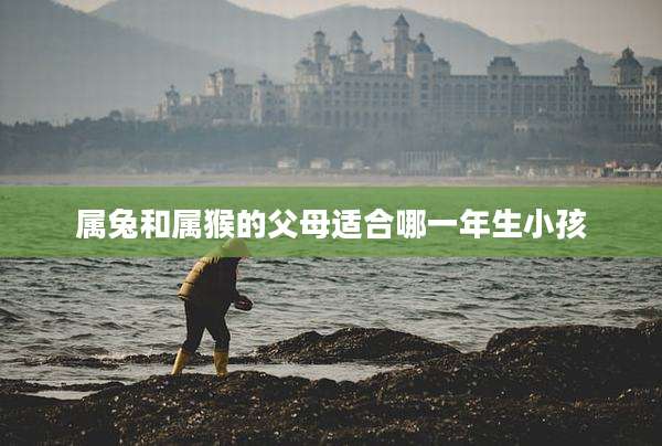属兔和属猴的父母适合哪一年生小孩