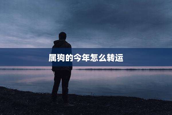 属狗的今年怎么转运