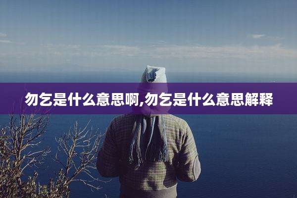 勿乞是什么意思啊,勿乞是什么意思解释