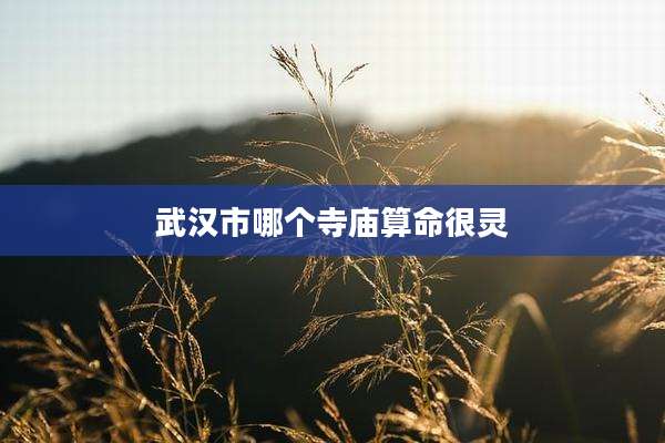 武汉市哪个寺庙算命很灵