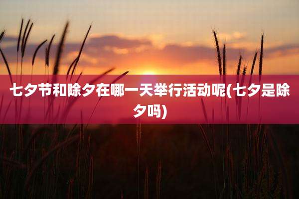 七夕节和除夕在哪一天举行活动呢(七夕是除夕吗)