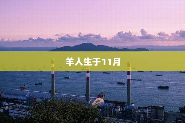 羊人生于11月