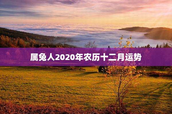 属兔人2020年农历十二月运势