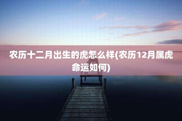 农历十二月出生的虎怎么样(农历12月属虎命运如何)