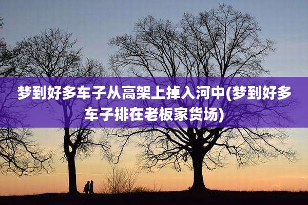 梦到好多车子从高架上掉入河中(梦到好多车子排在老板家货场)