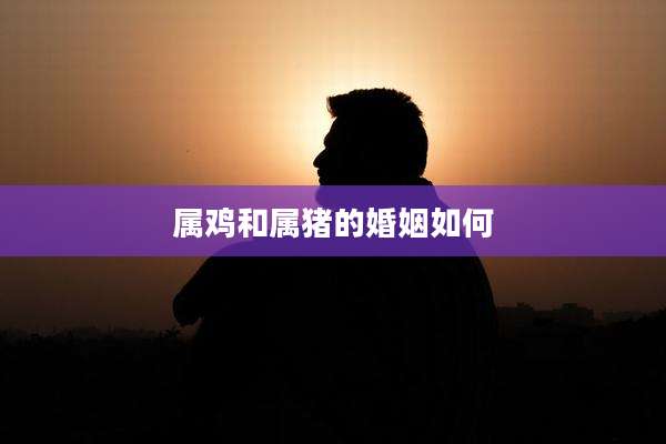 属鸡和属猪的婚姻如何