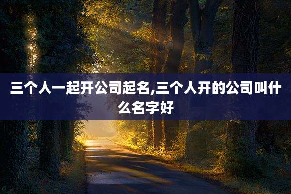 三个人一起开公司起名,三个人开的公司叫什么名字好