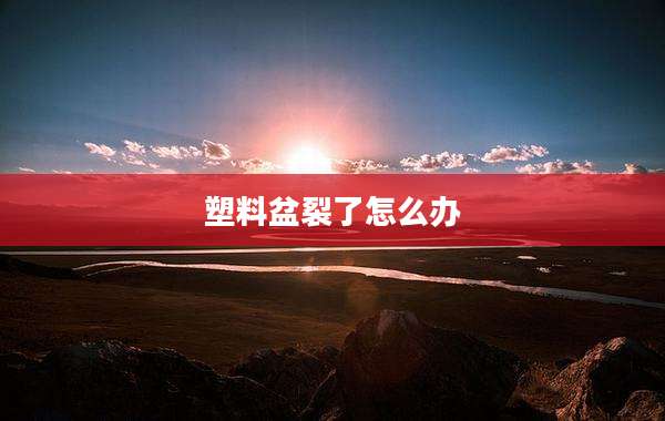 塑料盆裂了怎么办