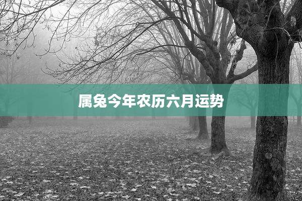 属兔今年农历六月运势