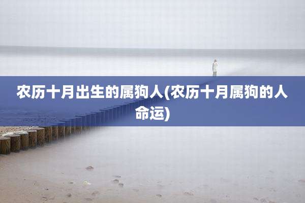 农历十月出生的属狗人(农历十月属狗的人命运)