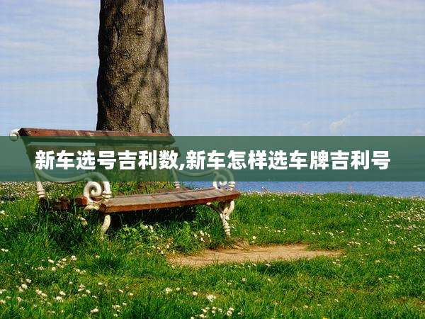 新车选号吉利数,新车怎样选车牌吉利号