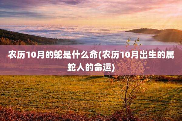 农历10月的蛇是什么命(农历10月出生的属蛇人的命运)