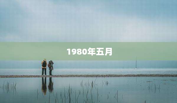1980年五月