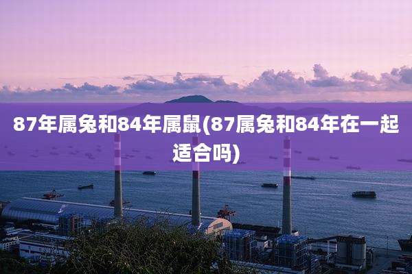 87年属兔和84年属鼠(87属兔和84年在一起适合吗)