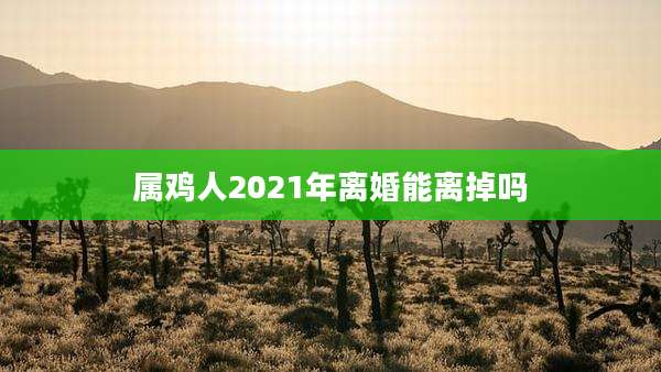 属鸡人2021年离婚能离掉吗