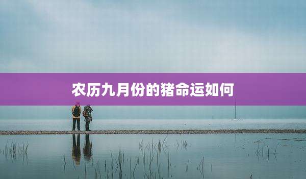 农历九月份的猪命运如何