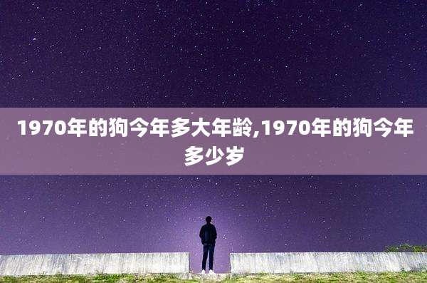 1970年的狗今年多大年龄,1970年的狗今年多少岁