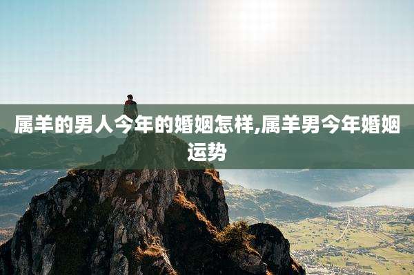 属羊的男人今年的婚姻怎样,属羊男今年婚姻运势