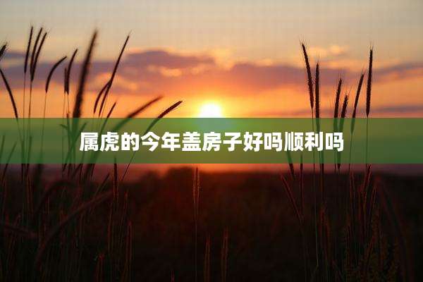 属虎的今年盖房子好吗顺利吗