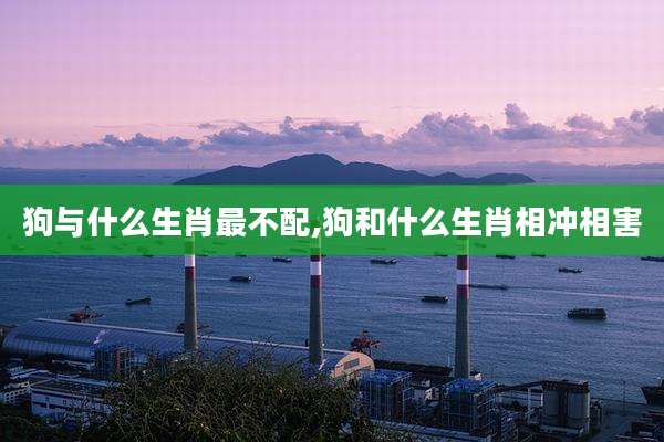 狗与什么生肖最不配,狗和什么生肖相冲相害