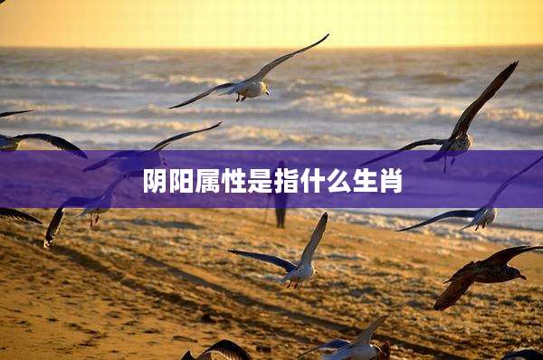 阴阳属性是指什么生肖