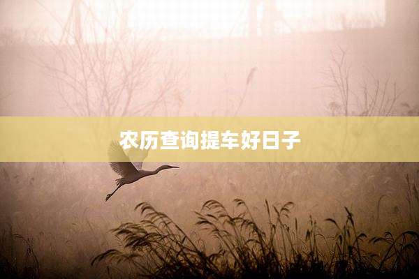 农历查询提车好日子