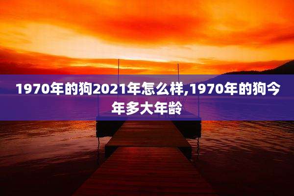 1970年的狗2021年怎么样,1970年的狗今年多大年龄