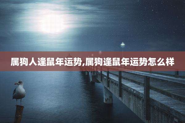 属狗人逢鼠年运势,属狗逢鼠年运势怎么样