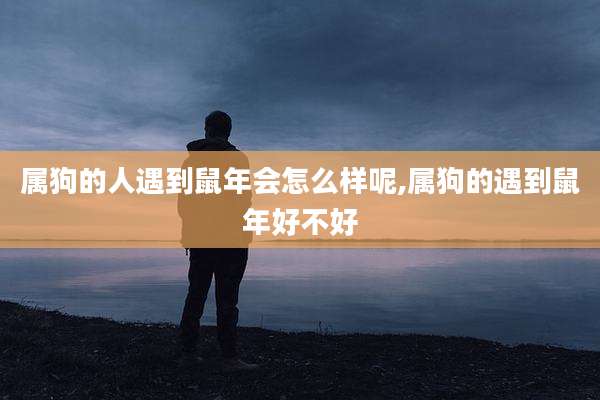 属狗的人遇到鼠年会怎么样呢,属狗的遇到鼠年好不好
