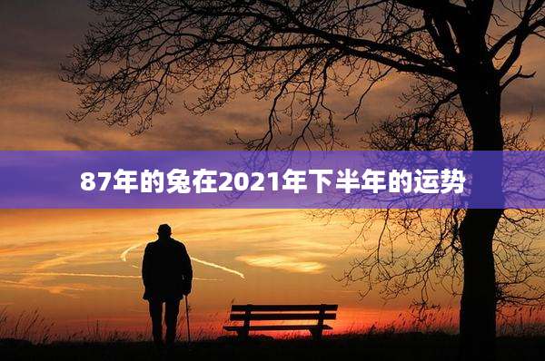 87年的兔在2021年下半年的运势