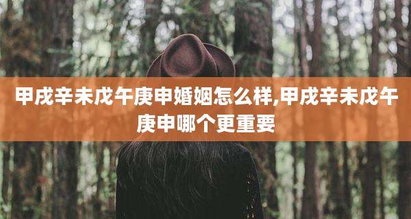甲戌辛未戊午庚申婚姻怎么样,甲戌辛未戊午庚申哪个更重要